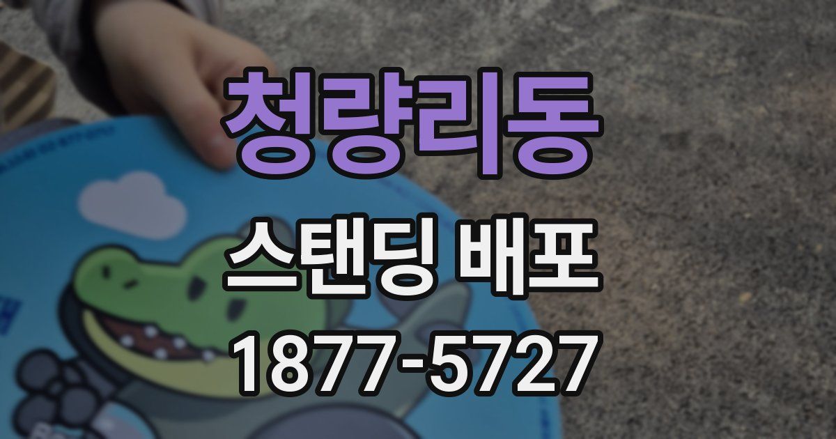 청량리동 스탠딩 배포