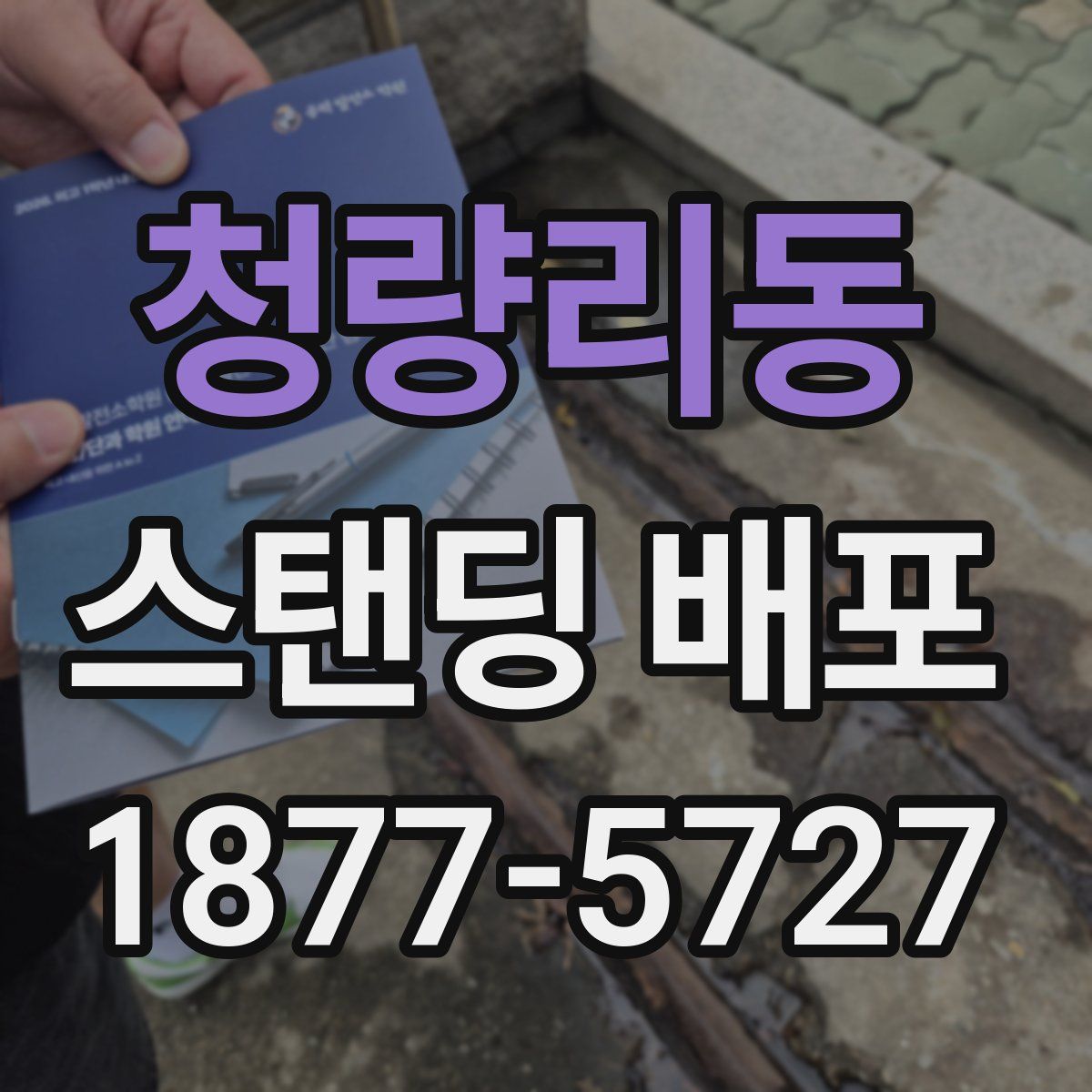 청량리동 스탠딩 배포