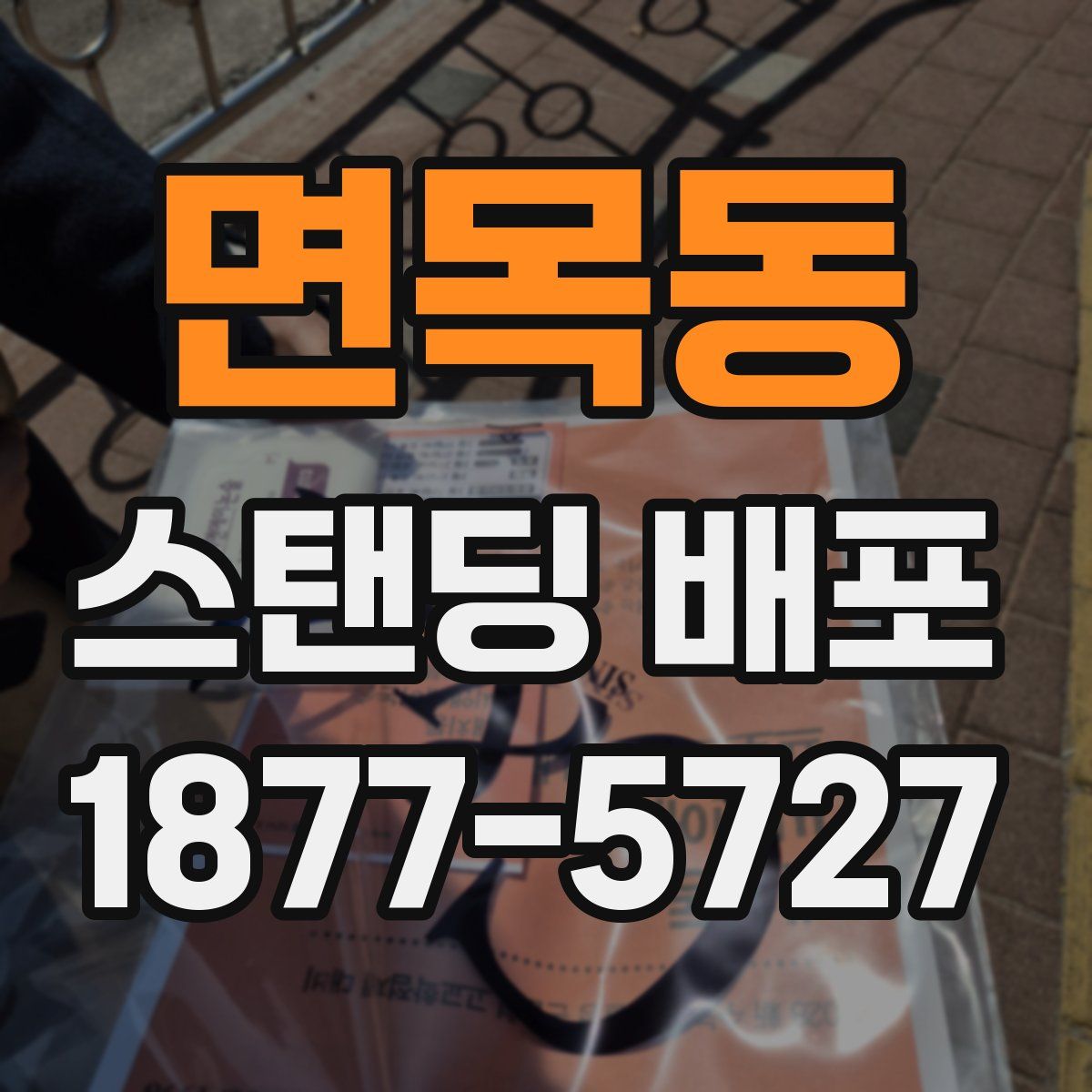 면목동 스탠딩 배포