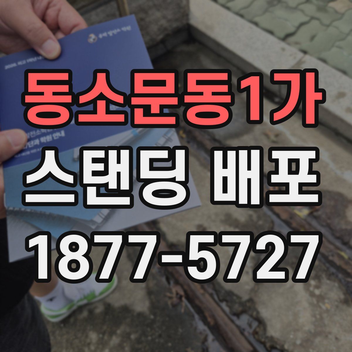 동소문동1가 스탠딩 배포