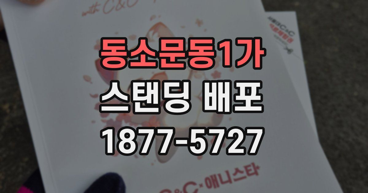 동소문동1가 스탠딩 배포