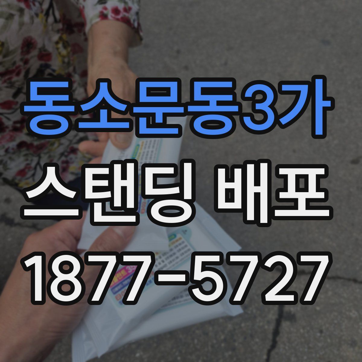 동소문동3가 스탠딩 배포