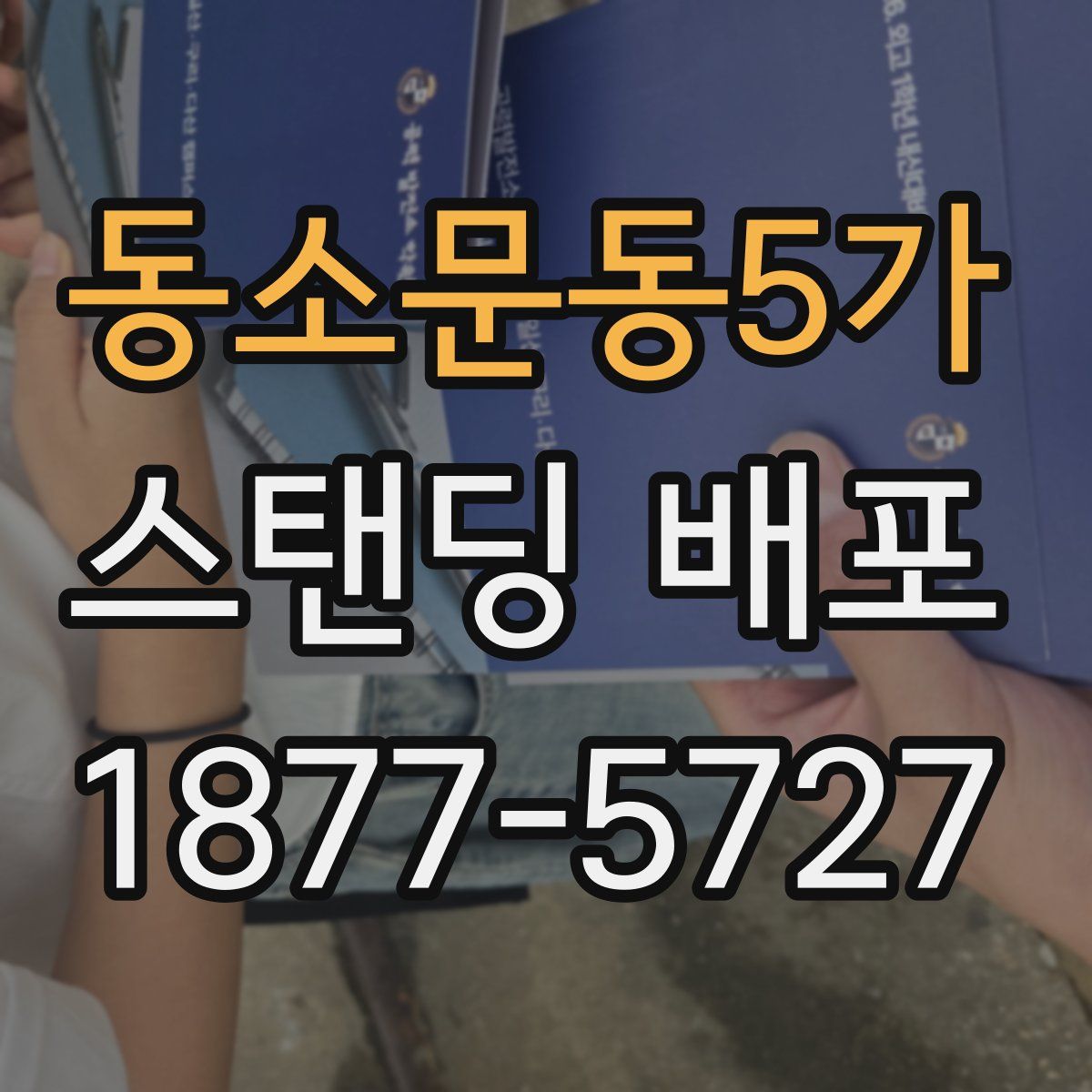 동소문동5가 스탠딩 배포