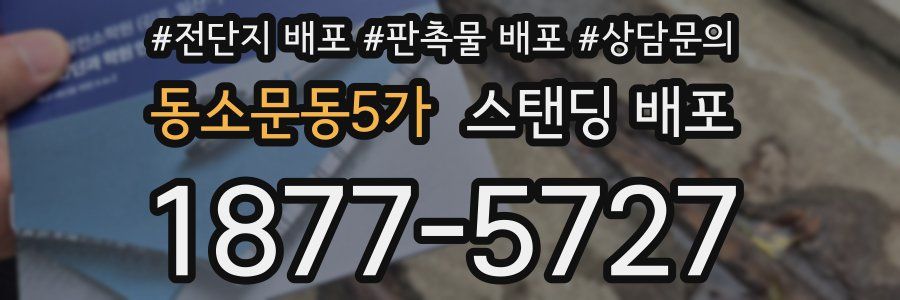 동소문동5가 스탠딩 배포