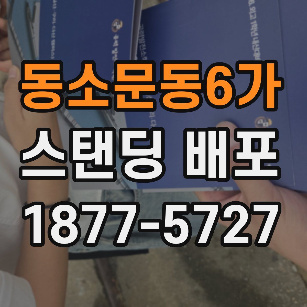 동소문동6가 스탠딩 배포