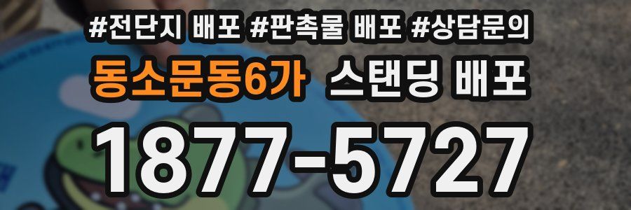 동소문동6가 스탠딩 배포