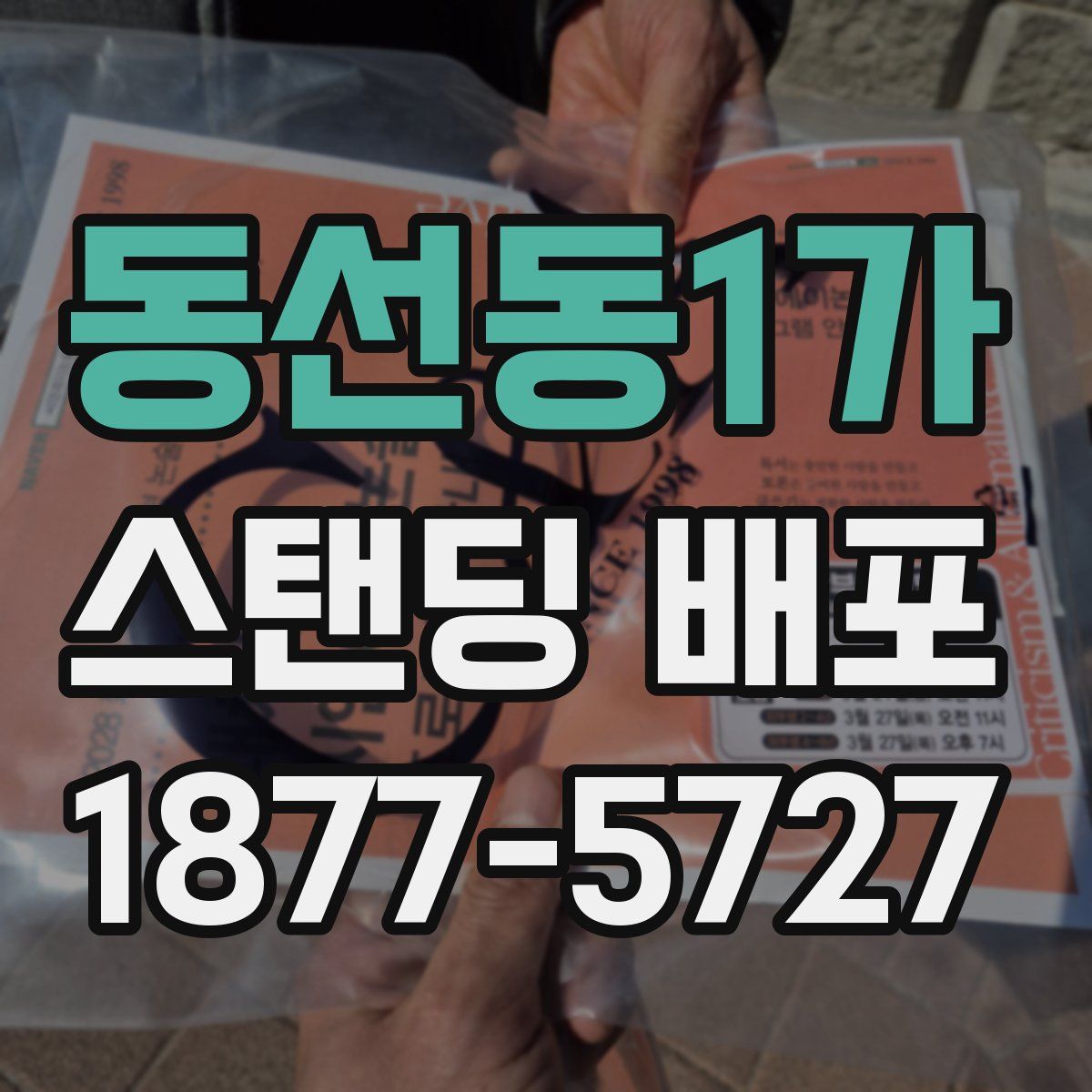 동선동1가 스탠딩 배포