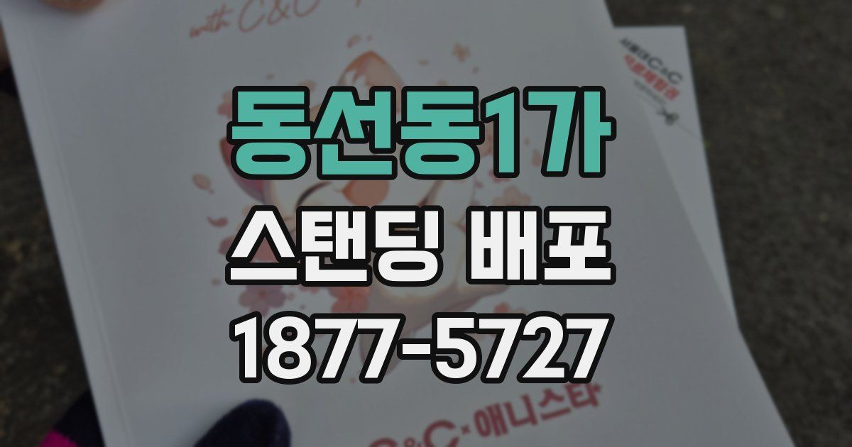 동선동1가 스탠딩 배포