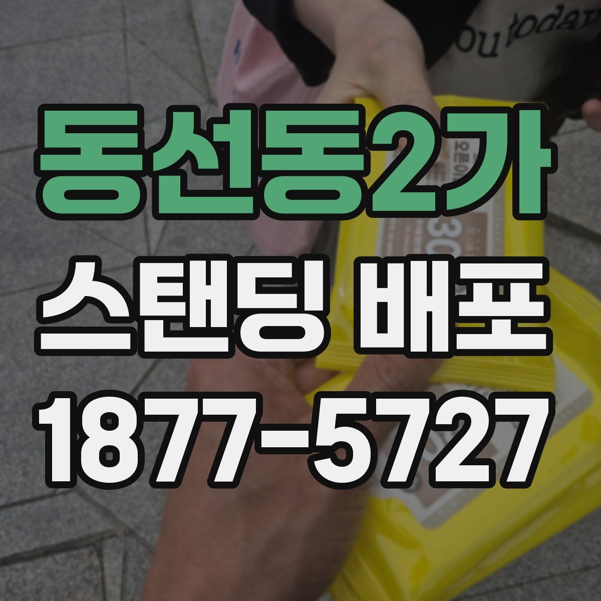 동선동2가 스탠딩 배포