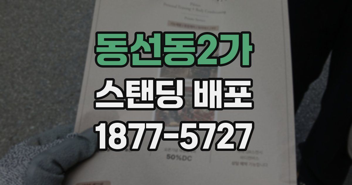 동선동2가 스탠딩 배포