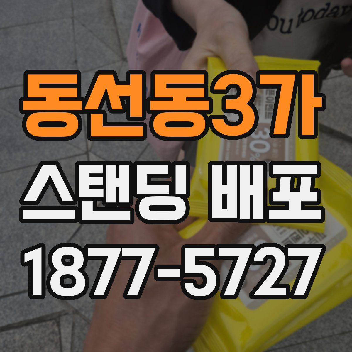 동선동3가 스탠딩 배포