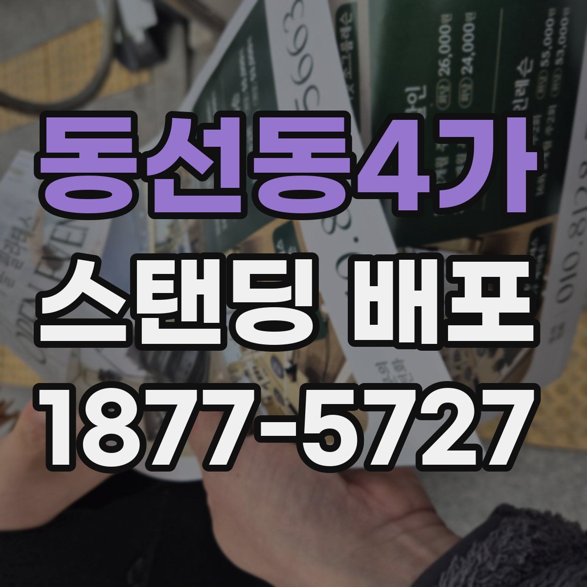 동선동4가 스탠딩 배포