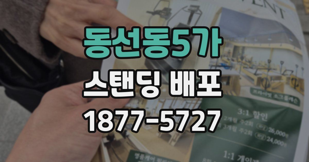 동선동5가 스탠딩 배포