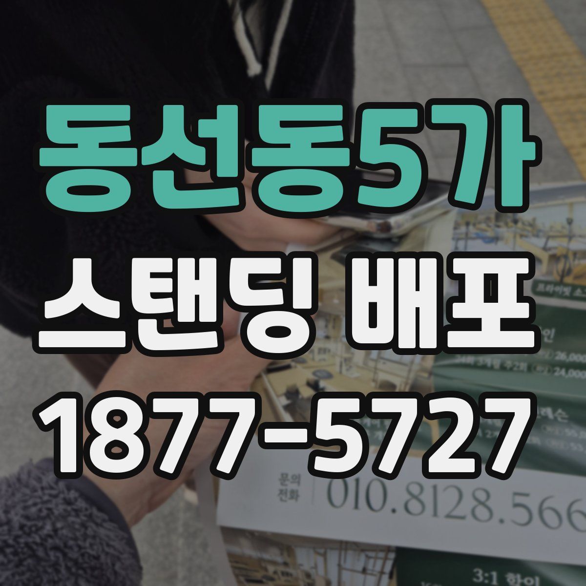 동선동5가 스탠딩 배포