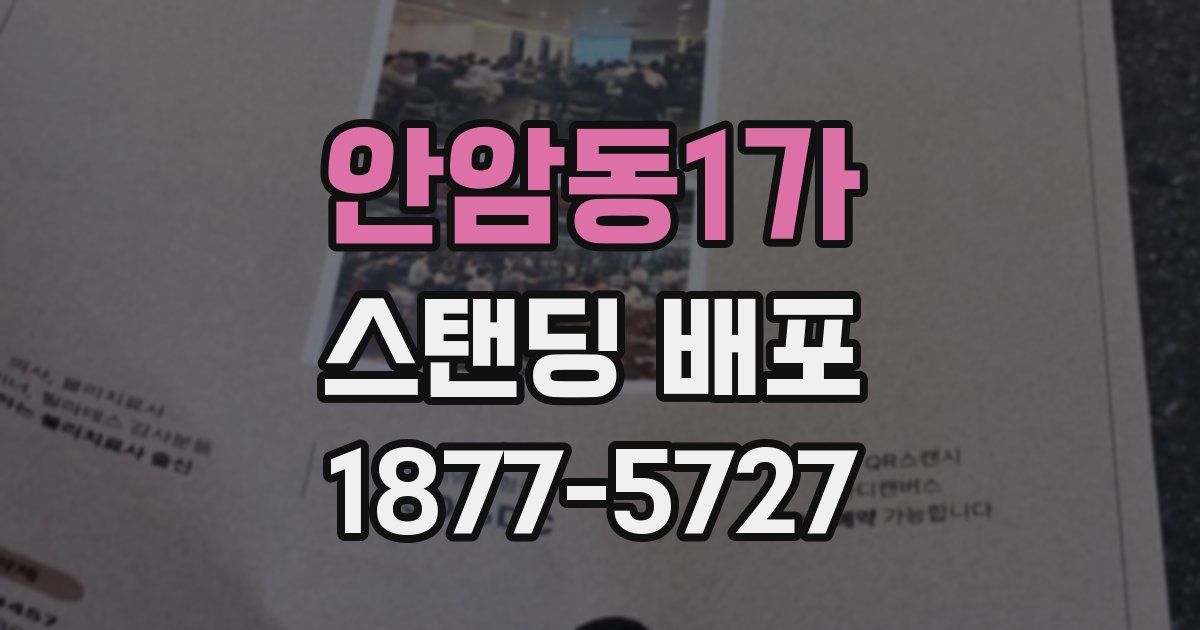 안암동1가 스탠딩 배포