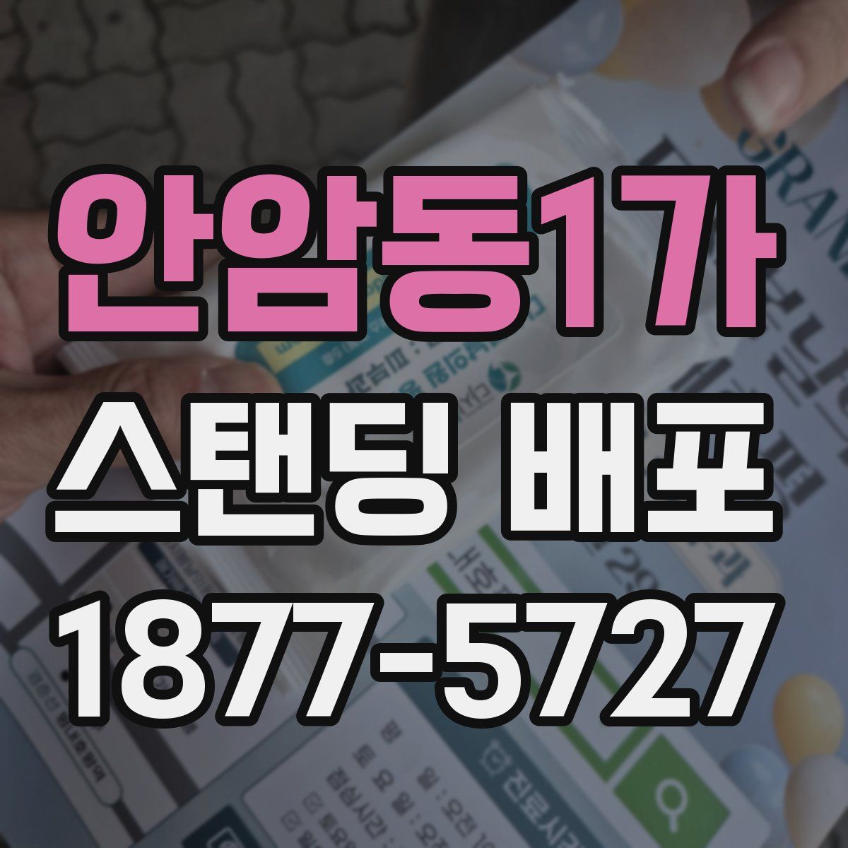 안암동1가 스탠딩 배포