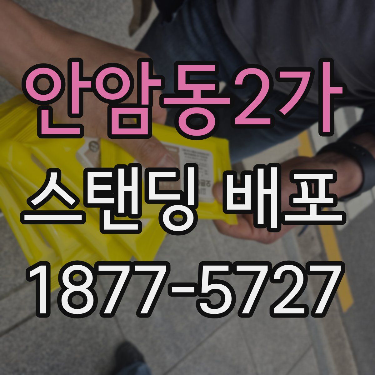 안암동2가 스탠딩 배포