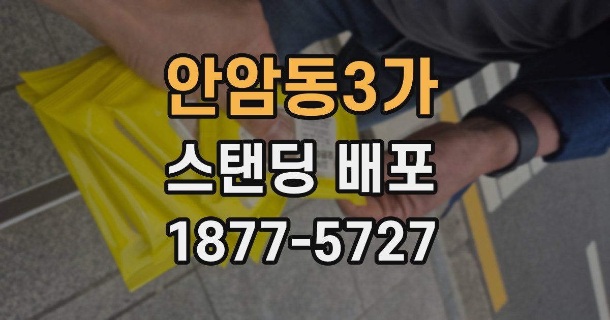 안암동3가 스탠딩 배포