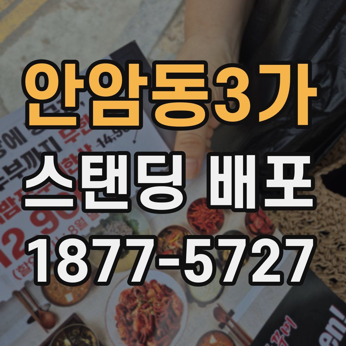 안암동3가 스탠딩 배포