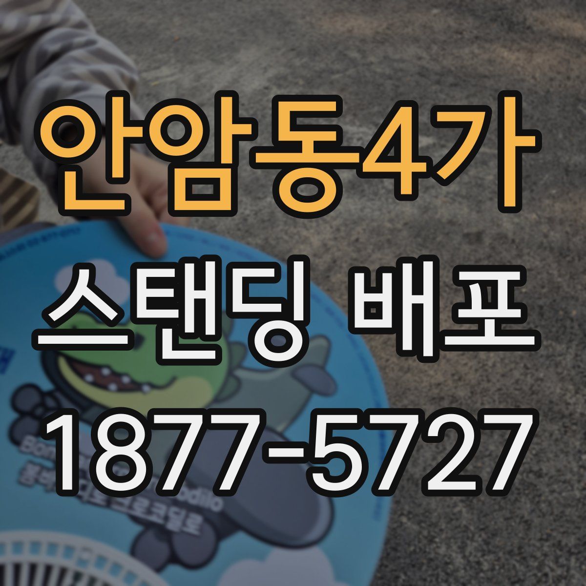 안암동4가 스탠딩 배포