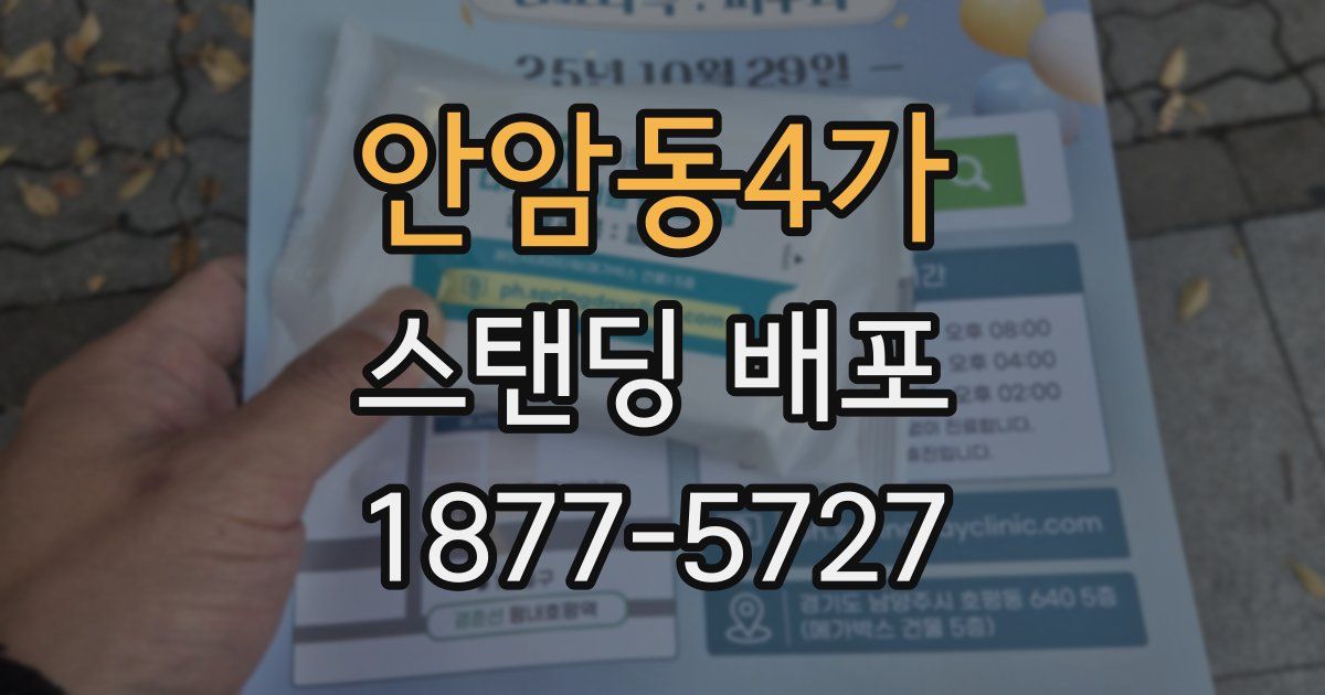 안암동4가 스탠딩 배포