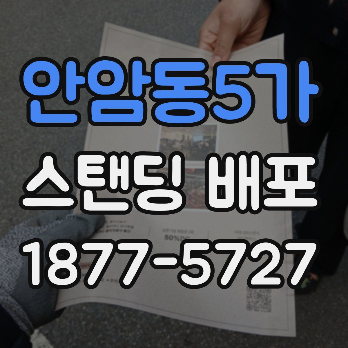 안암동5가 스탠딩 배포