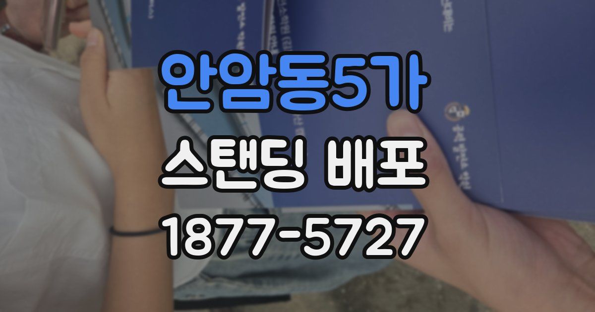 안암동5가 스탠딩 배포