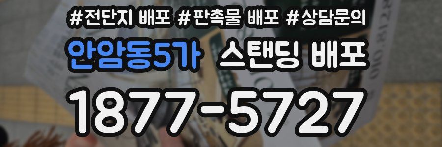 안암동5가 스탠딩 배포