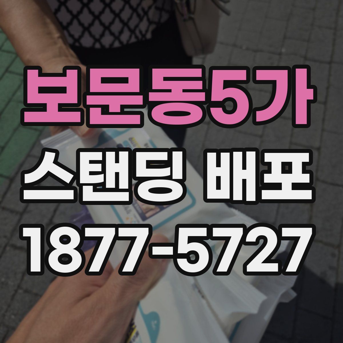 보문동5가 스탠딩 배포