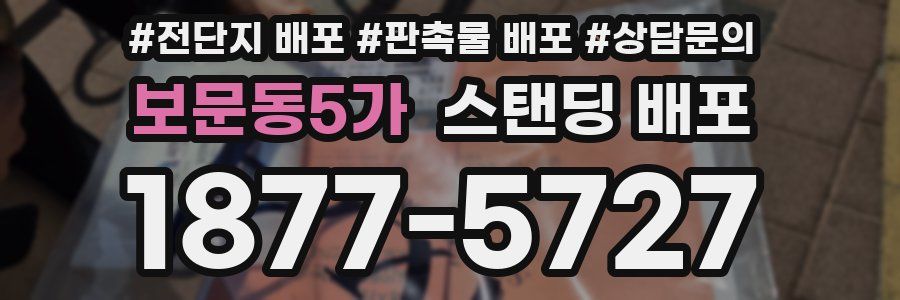 보문동5가 스탠딩 배포