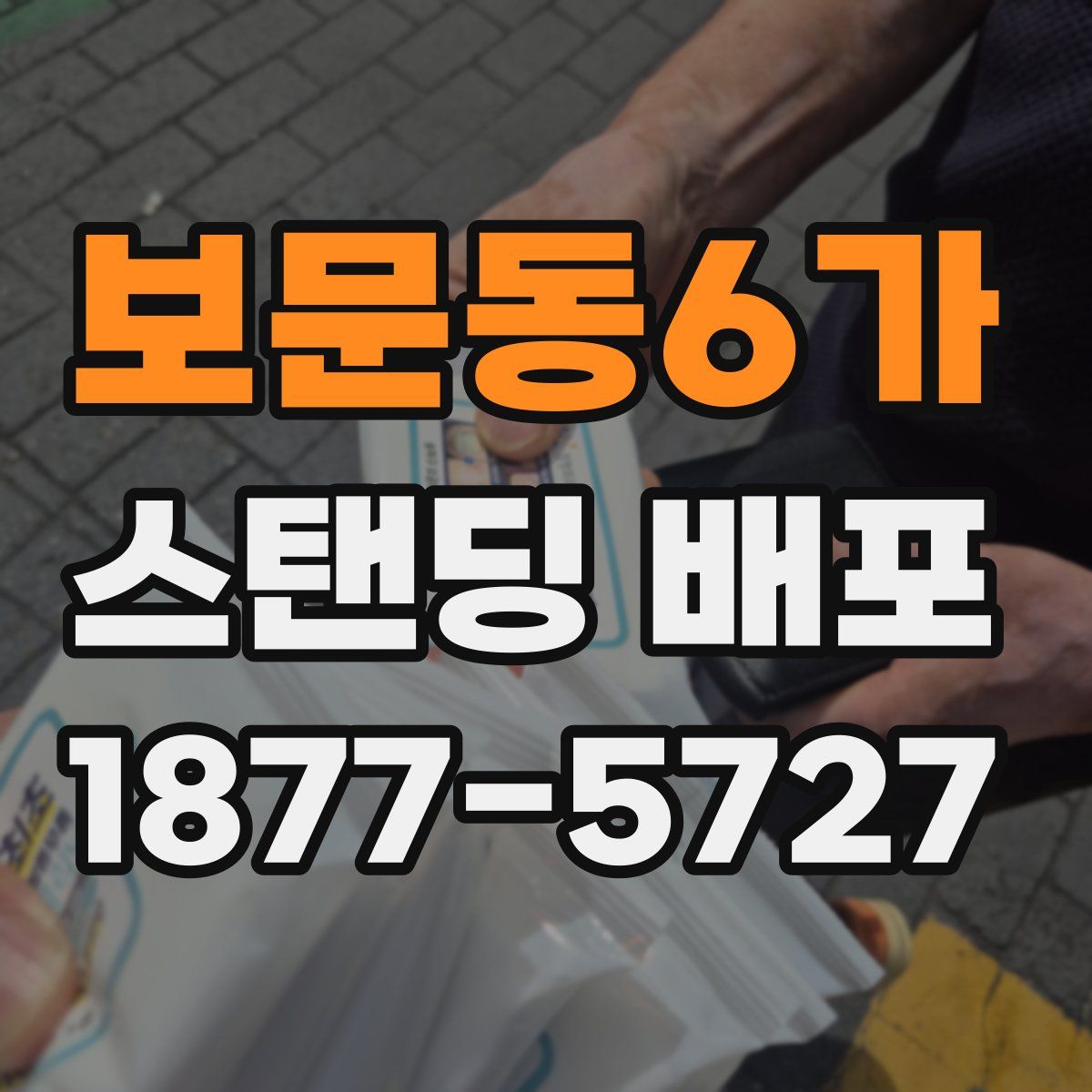 보문동6가 스탠딩 배포