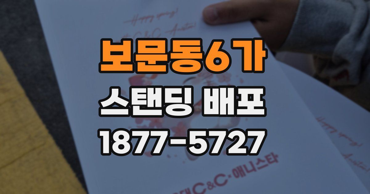 보문동6가 스탠딩 배포