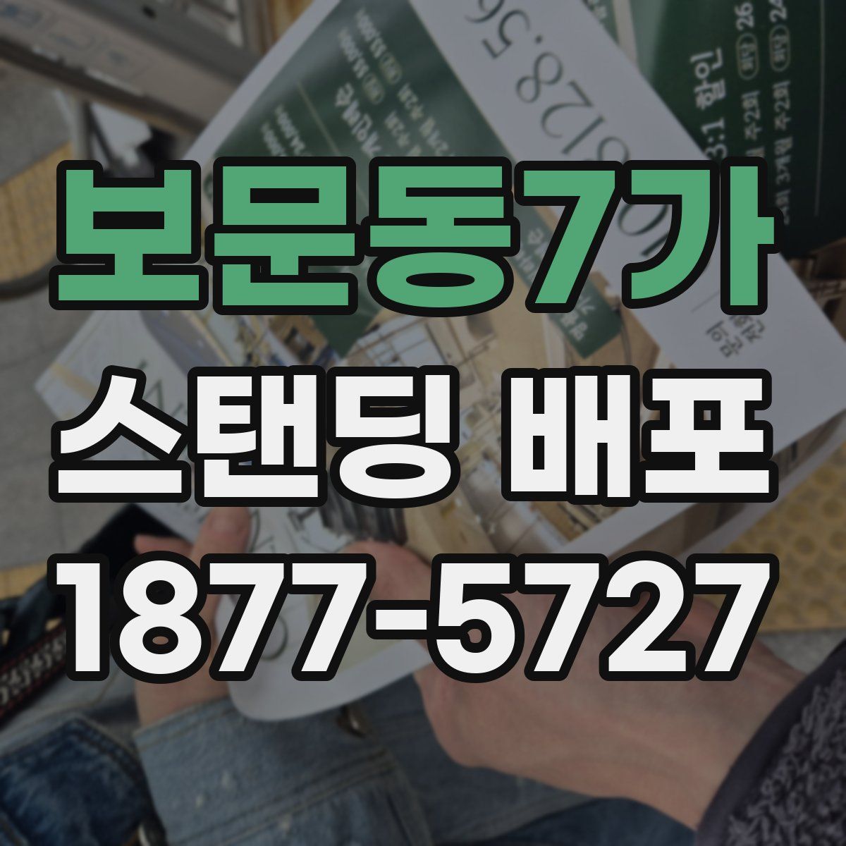 보문동7가 스탠딩 배포