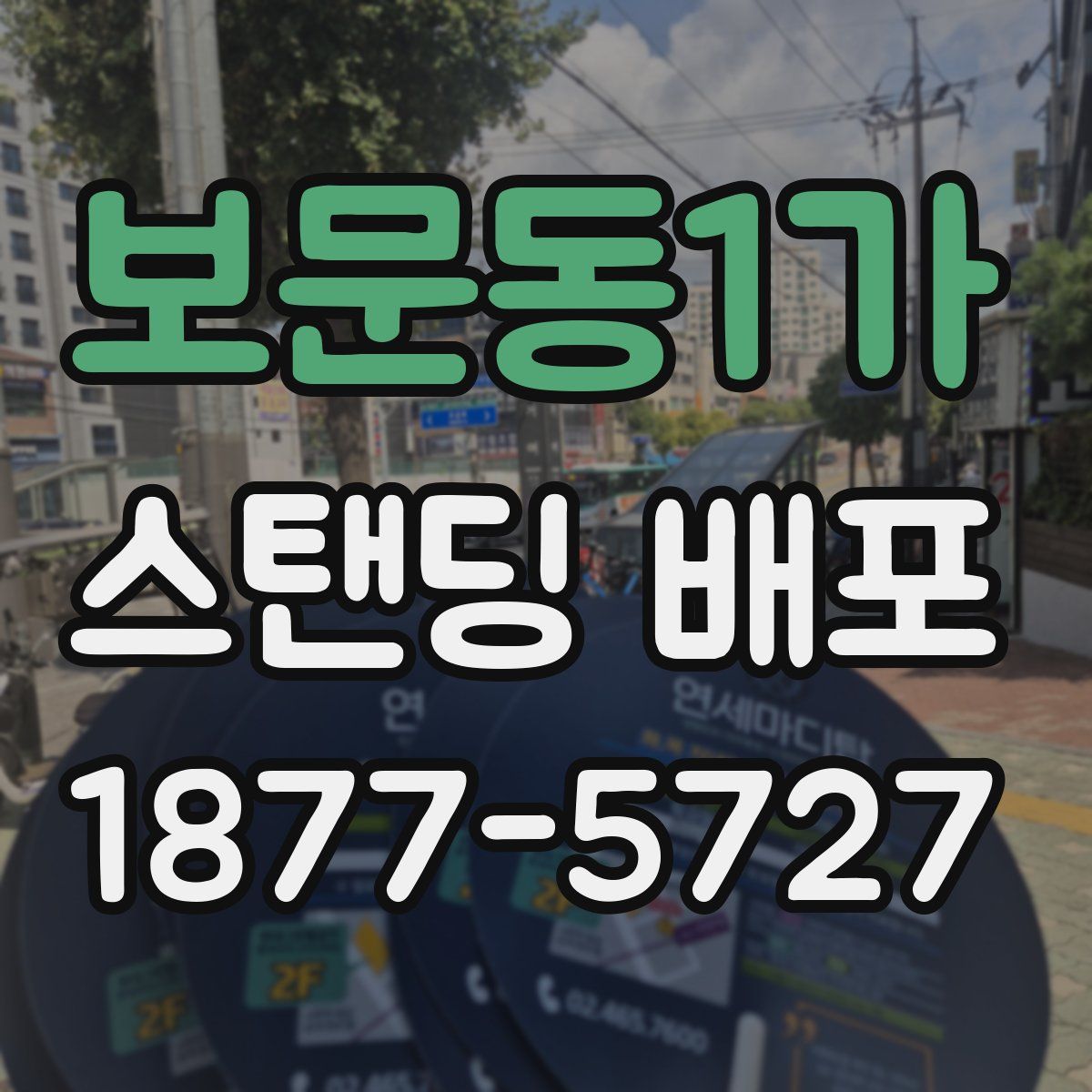 보문동1가 스탠딩 배포