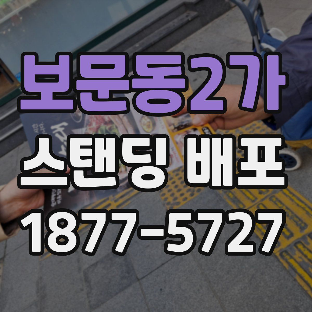 보문동2가 스탠딩 배포