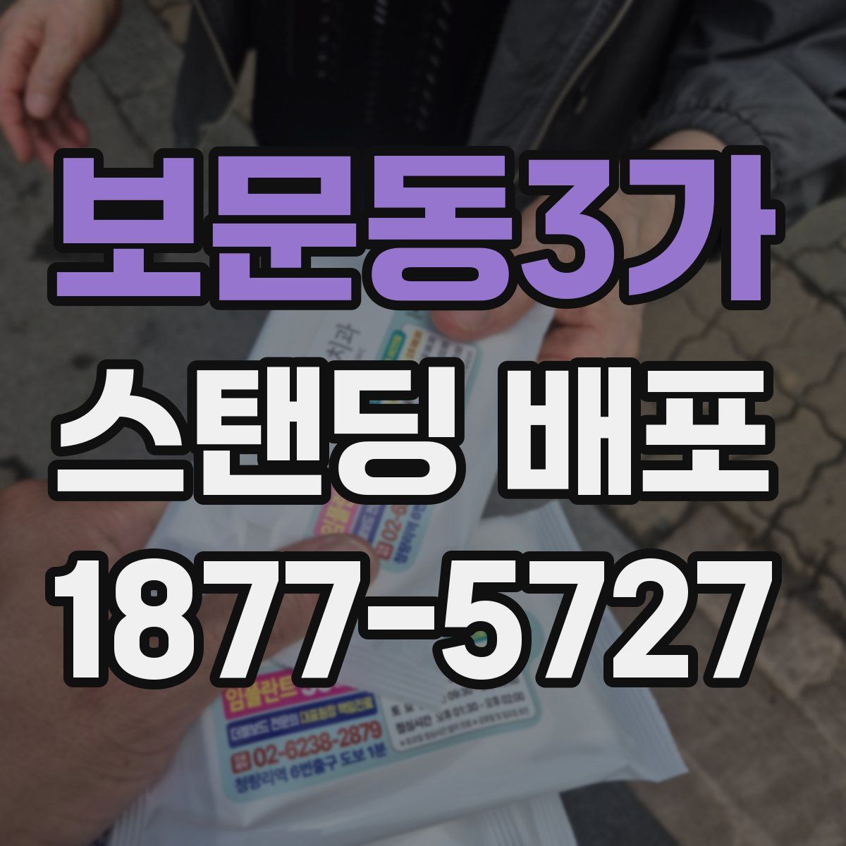 보문동3가 스탠딩 배포