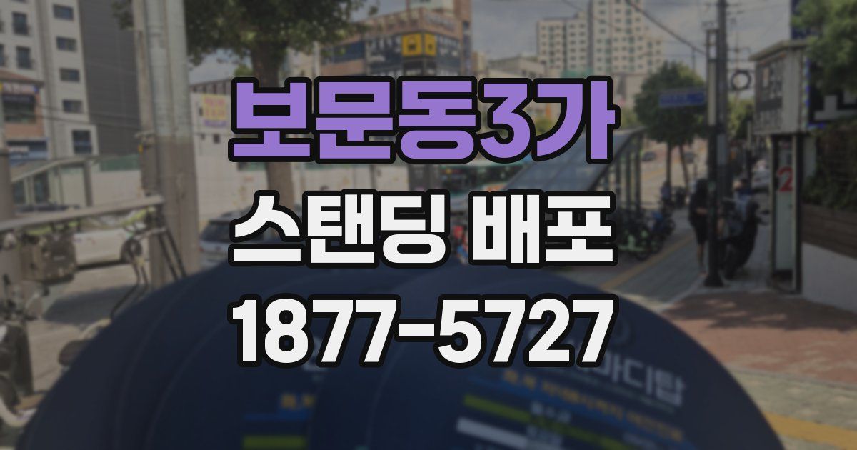 보문동3가 스탠딩 배포