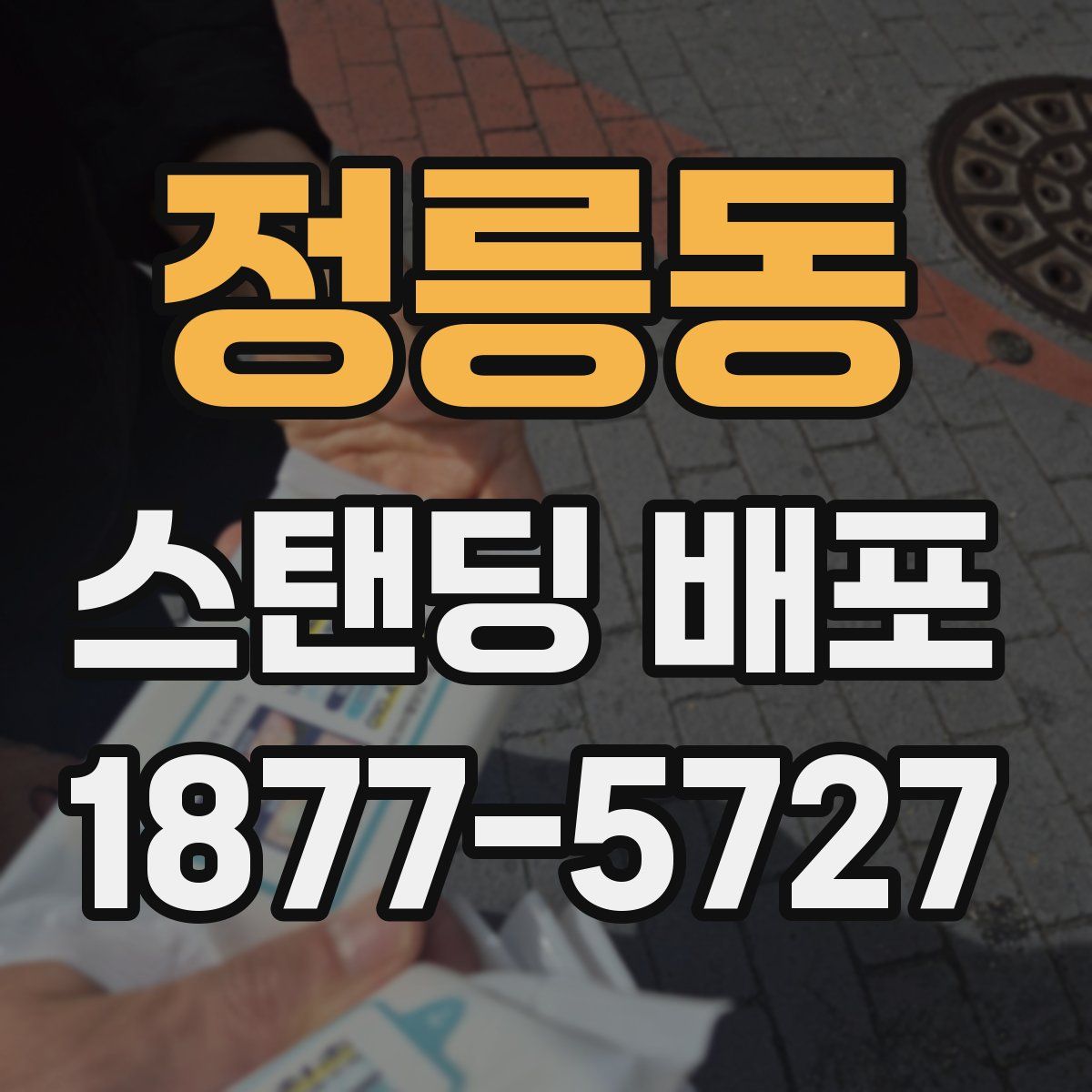 정릉동 스탠딩 배포