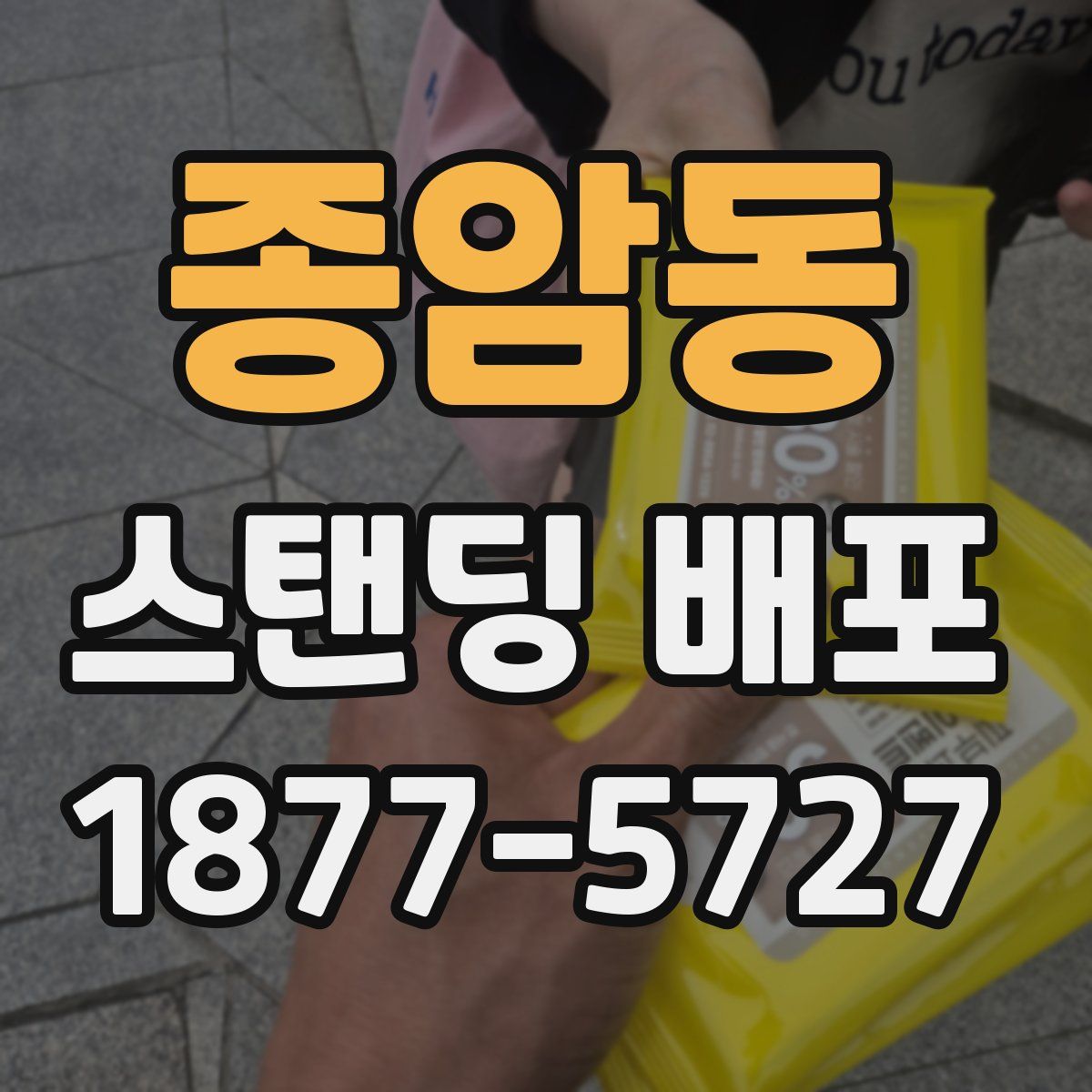 종암동 스탠딩 배포