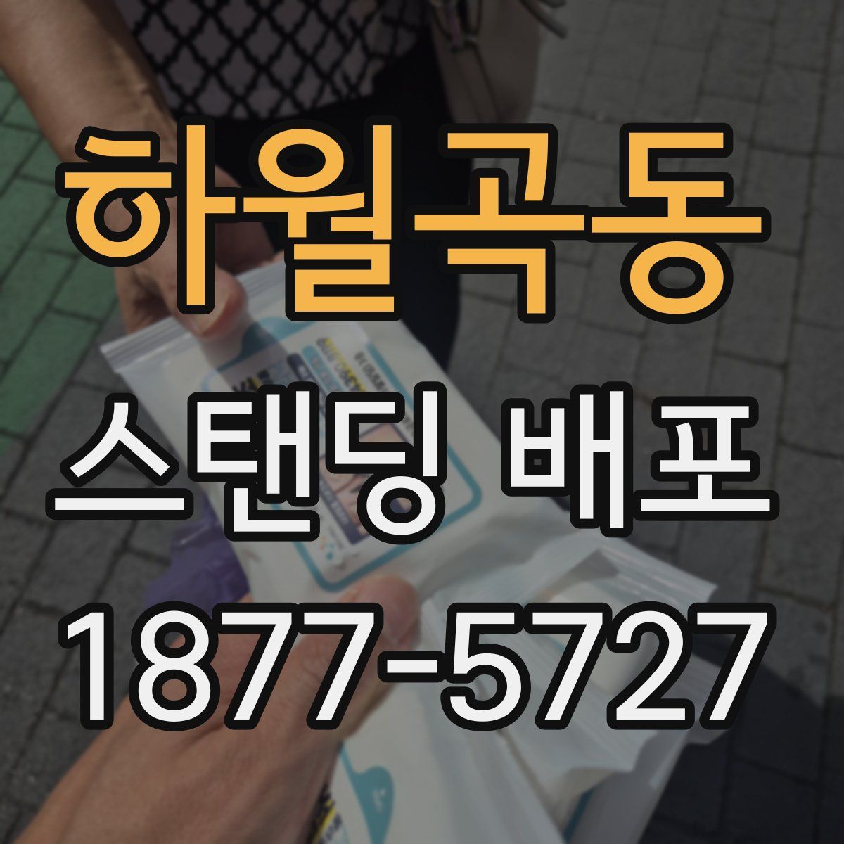 하월곡동 스탠딩 배포