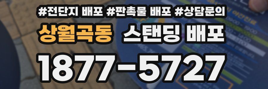 상월곡동 스탠딩 배포