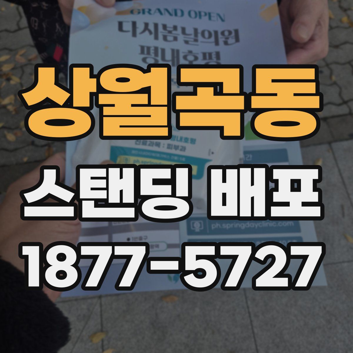 상월곡동 스탠딩 배포