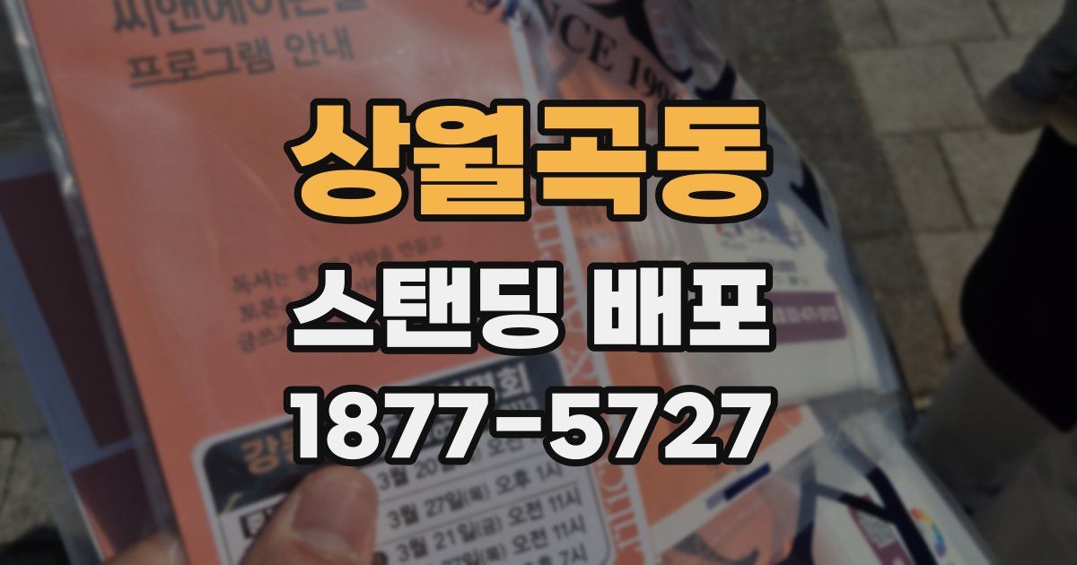 상월곡동 스탠딩 배포