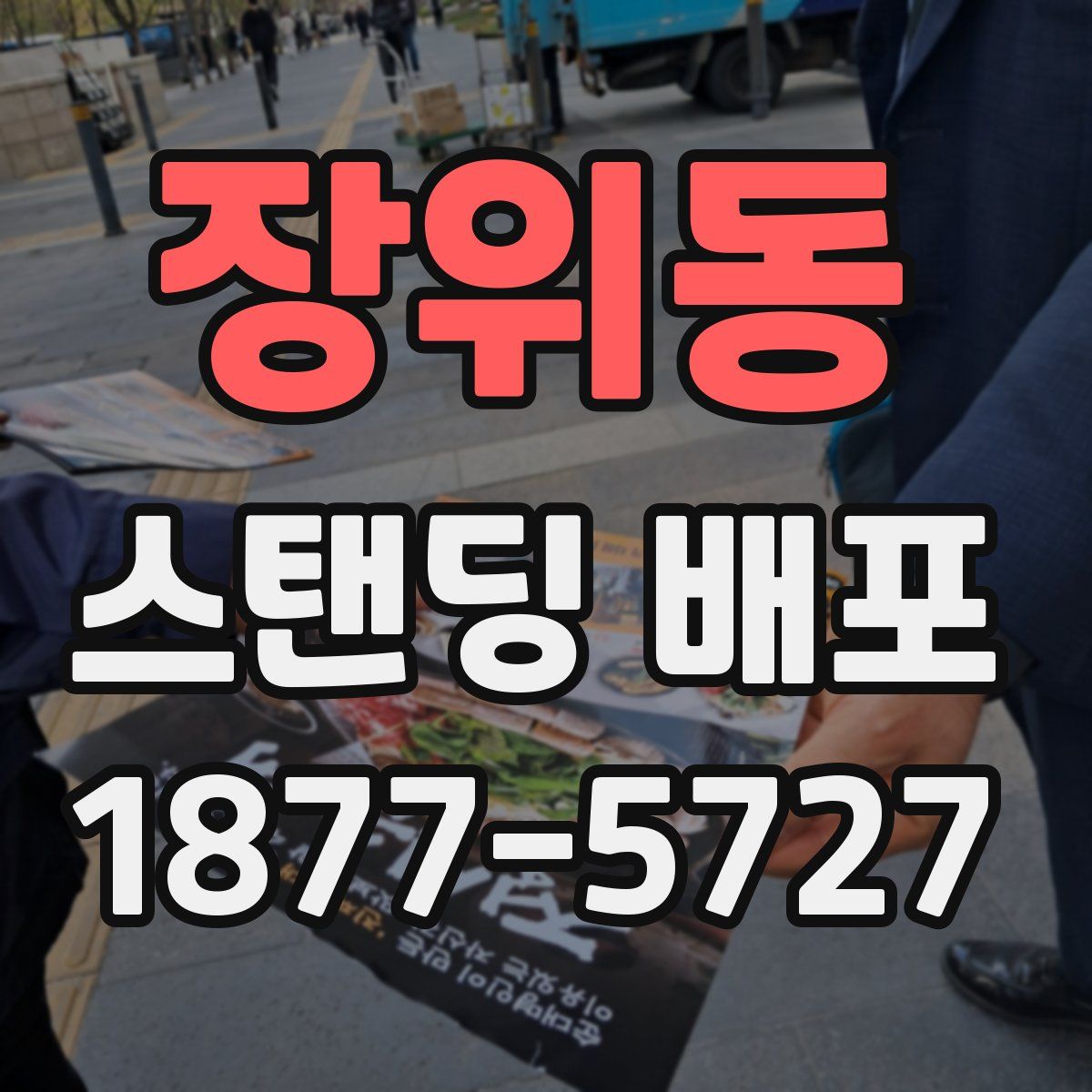 장위동 스탠딩 배포