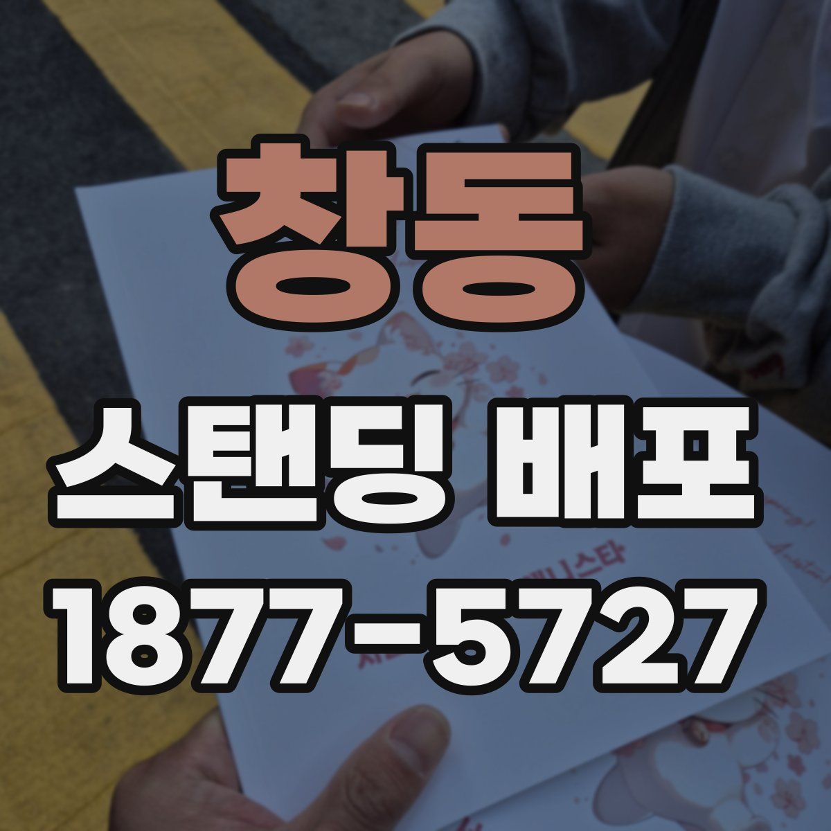 창동 스탠딩 배포