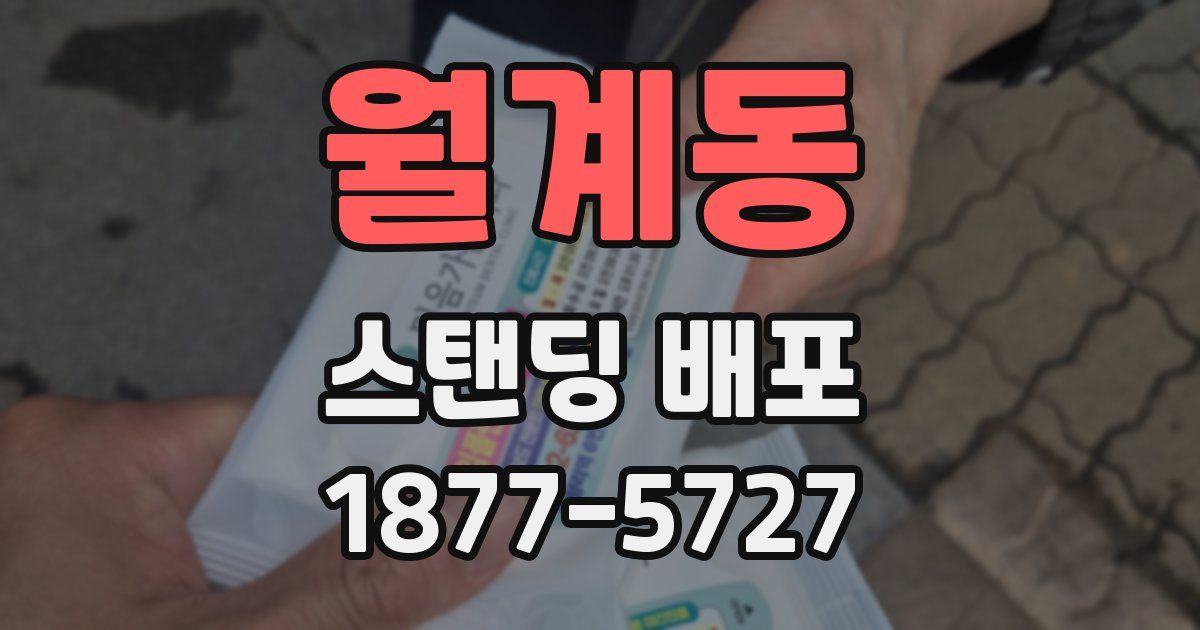 월계동 스탠딩 배포
