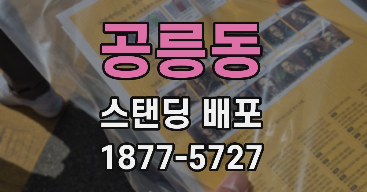 공릉동 스탠딩 배포