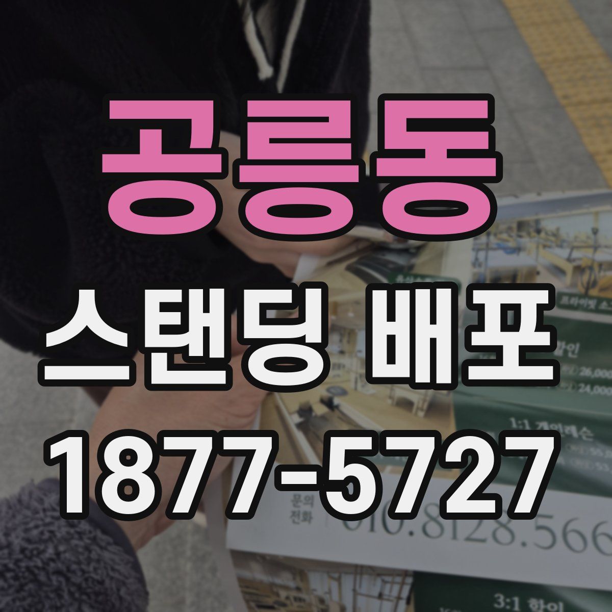 공릉동 스탠딩 배포