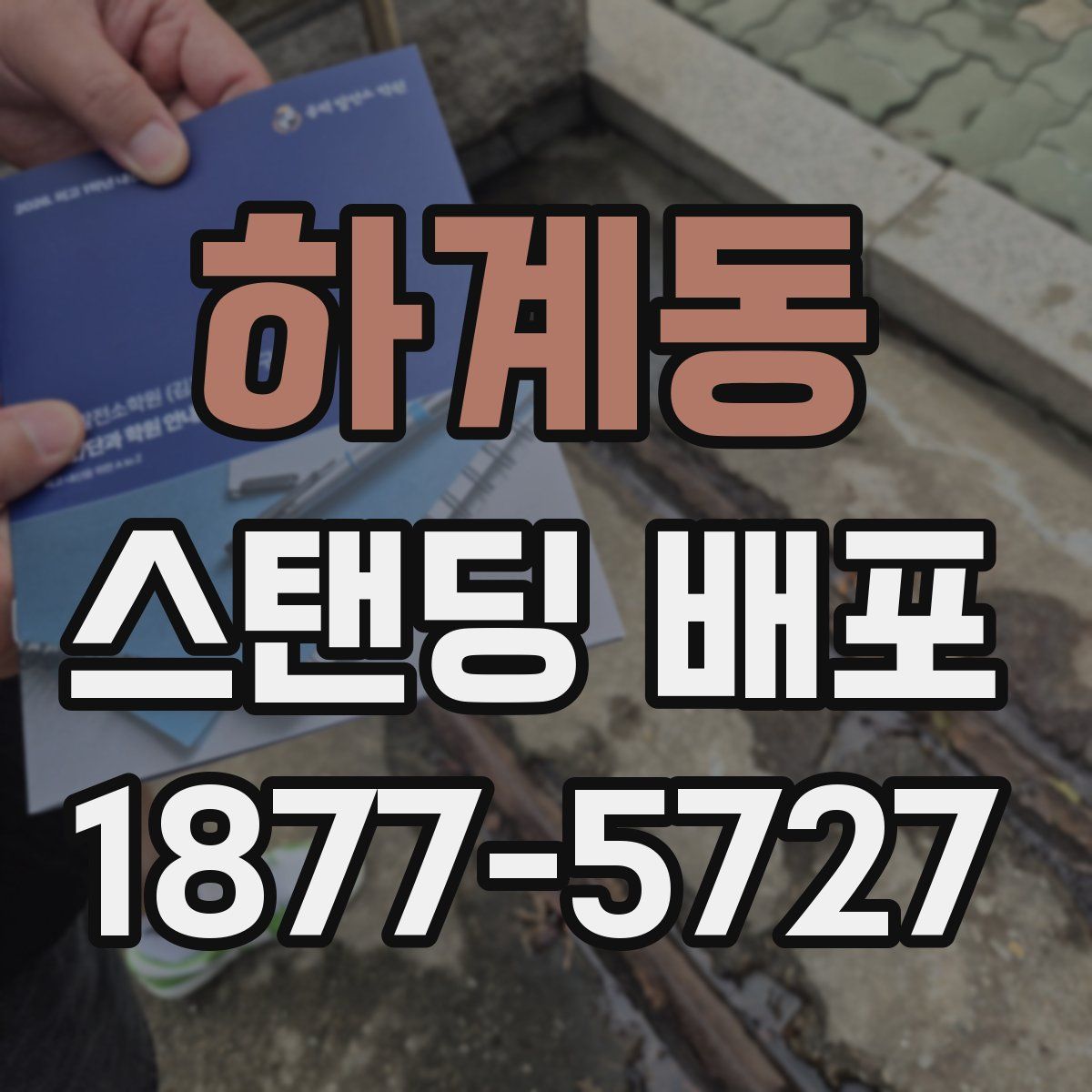 하계동 스탠딩 배포