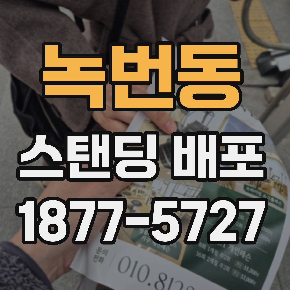 녹번동 스탠딩 배포